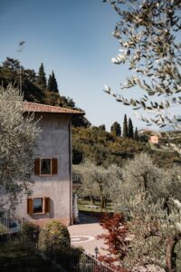 Traditional Italian house surrounded by olive groves in scenic Malcesine, Veneto.