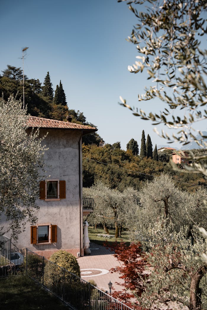 Traditional Italian house surrounded by olive groves in scenic Malcesine, Veneto.